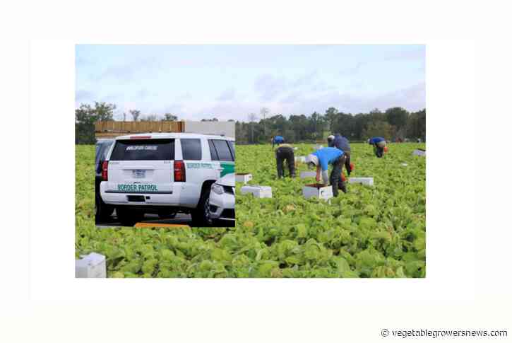 Rural California concerned about deportation efforts