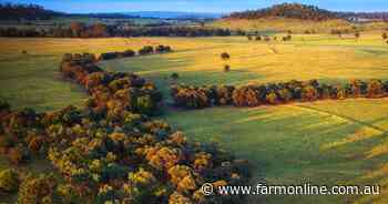 Finishing, backgrounding, breeding country passed in at auction | Video