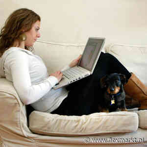 Aantal zzp’ers stabiel ondanks strengere regels, daling blijft in zorg en bouw