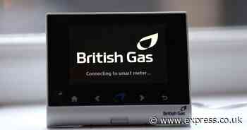 British Gas will offer customers half-price electricity tomorrow - time announced