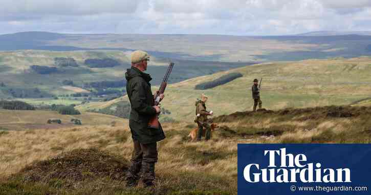 Promise to phase out lead from UK game shooting has failed, study finds
