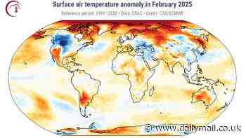 Last month was the third warmest February on RECORD - with global average temperatures hitting 13.36°C