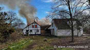 Brandweer blust uitslaande brand in verlaten boerderij in Hasselt