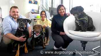 Bürohunde in Neu-Ulm: Wenn der Hund zum Kollegen wird