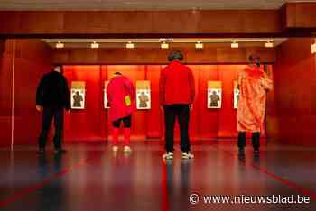 Verklede agenten stellen 92 overtredingen vast tijdens Aalst Carnaval