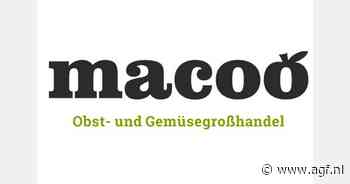 Reorganisatie moet Macoo redden