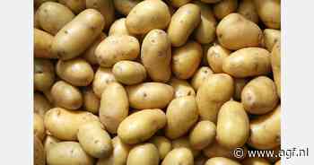 "Franse aardappelsector op rand van groot economisch onevenwicht"