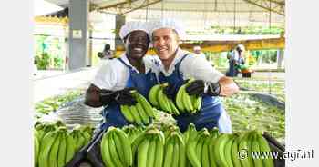 Productiviteitsgroei in Colombiaanse bananenteelt