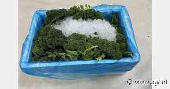 "Warmer weer zorgt voor daling in verkoop boerenkool en spruiten, waspeen leeft juist op"