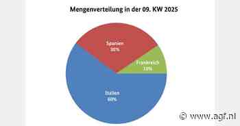Beschikbaarheid van bloemkool aanzienlijk toegenomen op Duitse markt