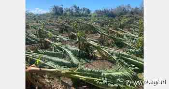 Tuinbouw Réunion zwaar getroffen na doortocht cycloon Garance