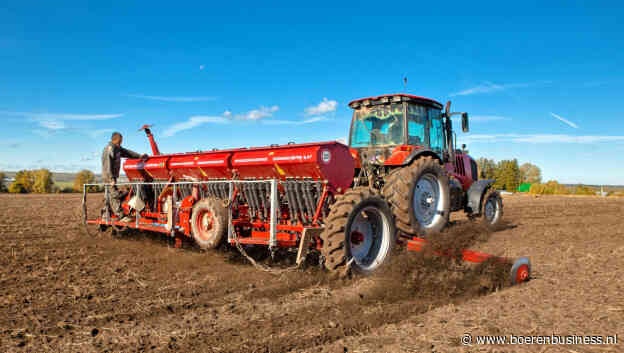Regen deze lente bepalend voor Russische tarwe
