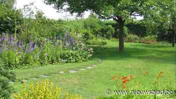 Online catalogus bundelt tips voor klimaatvriendelijke oplossingen