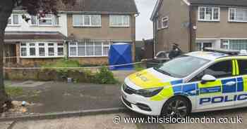 Son of woman killed by XL bullies in Hornchurch accused of neglecting dogs