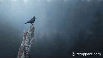 How to Create a Dramatic Metallic Effect in Lightroom