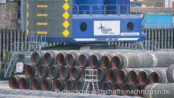 Nordstream: US-Investoren wollen erneut Gaspipeline übernehmen - pikante Personalie involviert