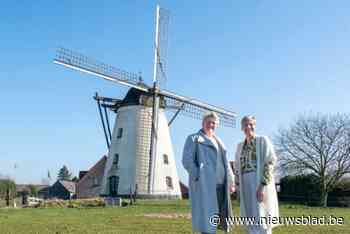 Gemeente krijgt meer subsidie dan gehoopt voor renovatie van molen: “Een beloning voor onze goede zorgen”