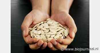 Poolse plannen en padstelling over NGT's