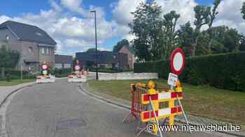 Knip in Olense Leemanslaan voldoet niet, maar blijft voorlopig bestaan: "Weghalen zonder andere maatregel, is te verwarrend"
