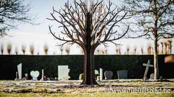 Meelevend Mechelen organiseert troostdag met verschillende activiteiten: “Maar ontmoeting staat centraal”