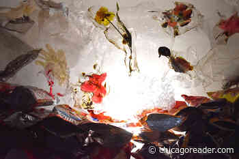 Best of Chicago 2024: Arts & Culture