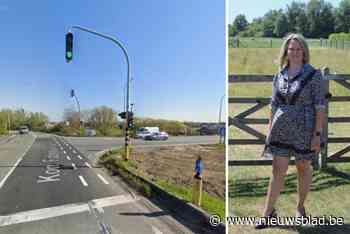 Locatie gekozen, type gekozen: fietsers- en voetgangersbrug over A19 stap dichterbij