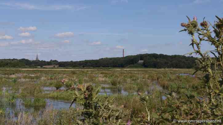 Natuurgebieden zijn er slecht aan toe: 'Resultaten zijn zorgwekkend'