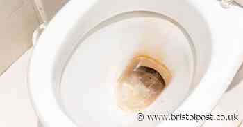 Banish limescale from your toilet with 60p item that works 'better than chemicals'
