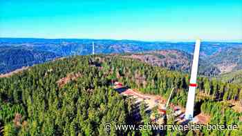 Windpark Bad Wildbad: Baustelle auf dem Kälbling ist noch im Winterschlaf