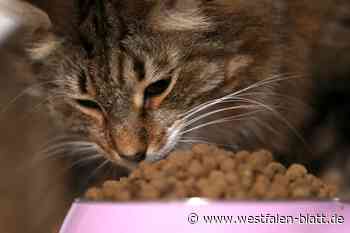 Betrug im Online-Shop für Tierbedarf?