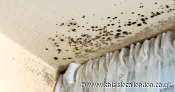 Sutton mum-of-three with asthma paid thousands after home was 'making her ill'