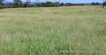 Well-positioned Budgawillie with abundant pasture and top-tier improvements