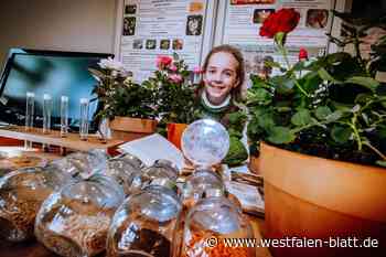 Spezielle Sporen helfen gegen Mehltau