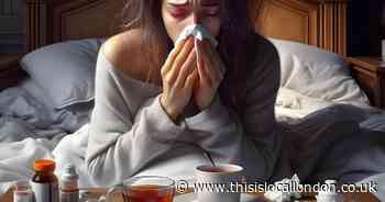 All the places you can get a free flu vaccine in Camden