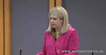 'They looked me up and down and said 'oh, if I was 20 years younger' Politician reveals sexual harassment