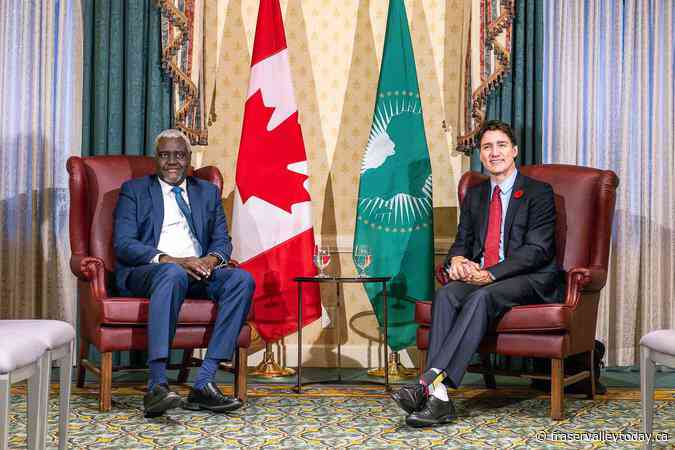 Liberals release long-delayed Africa strategy with no new funding