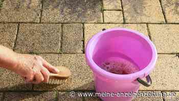 Naturstein im Garten – mit diesen Hausmitteln bleibt er robust und ansehnlich