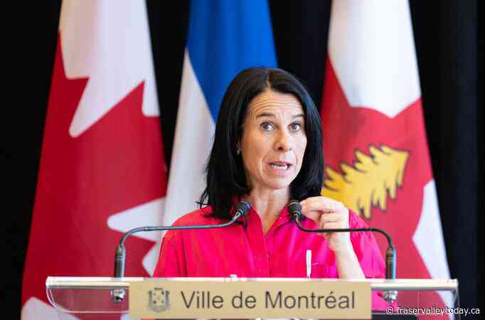 Quebec, Ontario mayors excluded from White House meeting, diplomatic protocol cited