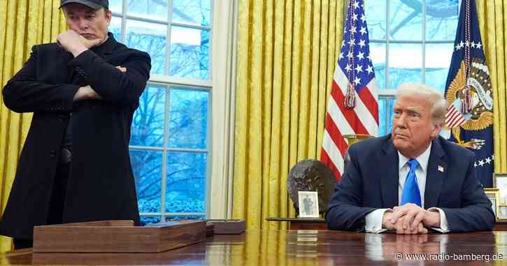 Trump zu Musk: Skalpell anstelle von Axt