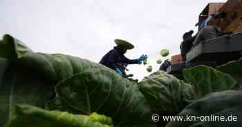 Trump setzt Zölle für Waren aus Mexiko und Kanada aus