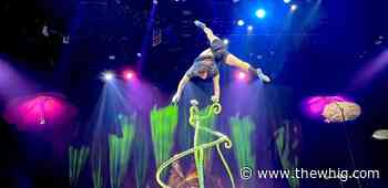 A peek behind the curtain of Cirque du Soleil's 'OVO'