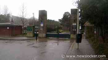 Extra toezicht na vernielingen op begraafplaats Den Haag