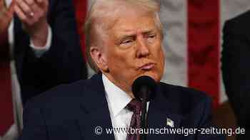 Trump setzt Mexiko-Zölle aus – teilweise Aufschub für Kanada