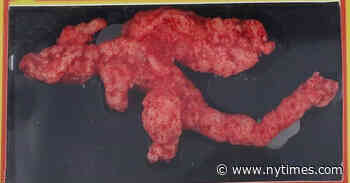 A Cheeto Shaped Like the Pokemon Charizard Sells for Nearly $90,000