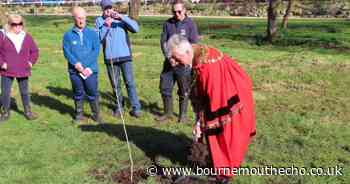 Mayor of Poole plants rare trees in gardens