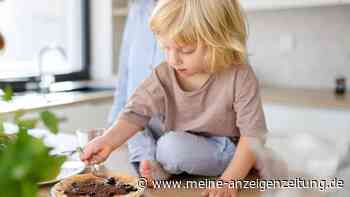 Was Eltern in der Küche tun, beeinflusst, wie gut Kinder Sprechen lernen