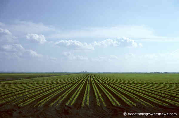 Abiotic stress management products now available from Acadian Plant Health