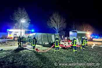 Nach Transporterunfall: Tierschützer erstatten Strafanzeige