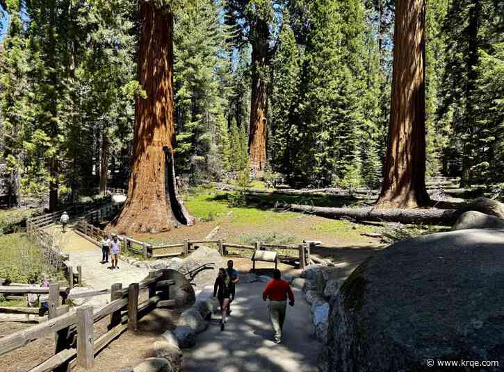 These national parks saw record attendance in 2024, but they may not tell you about it