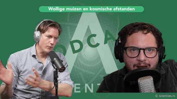 Wollige muizen en onmetelijke afstanden in de ruimte | Podcast 8